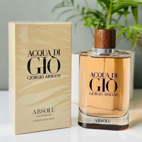 gio-nau-acqua-di-gio-absolu